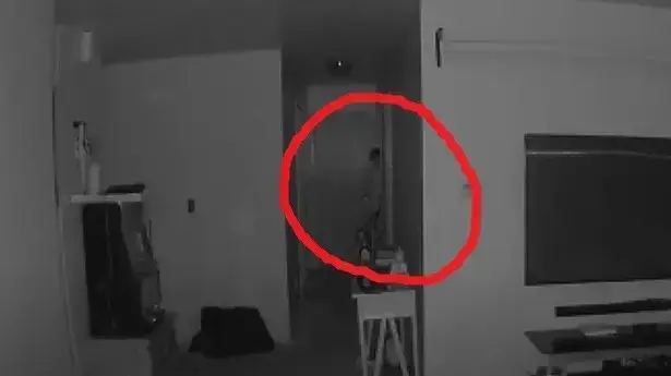 דמות מסתורית מציצה מחדר התינוק דמות מסתורית מציצה מחדר התינוק