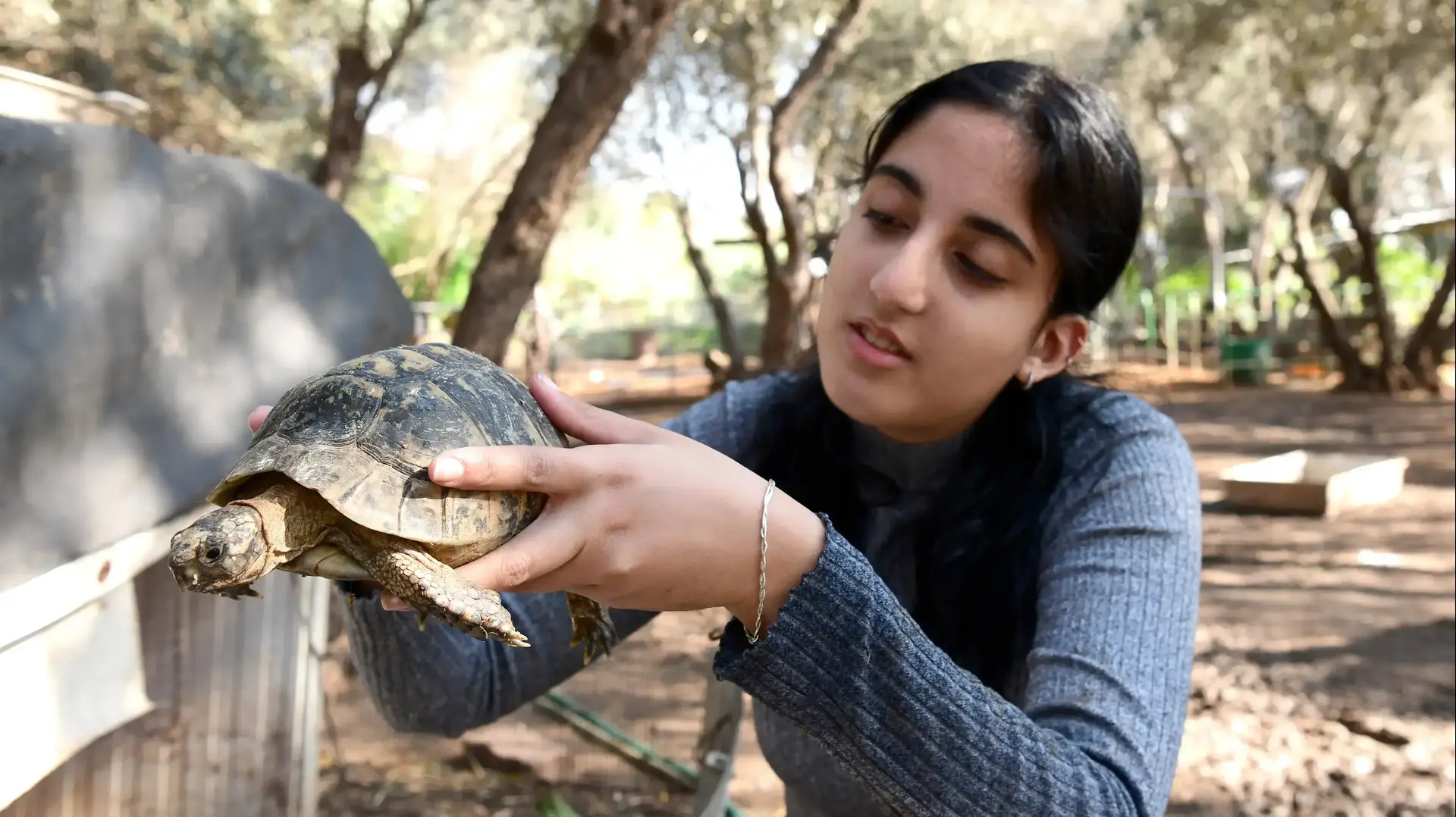 חוות קרן אור לשיקום בעלי חיים נטושים, הוד השרון, 29 בנובמבר 2020