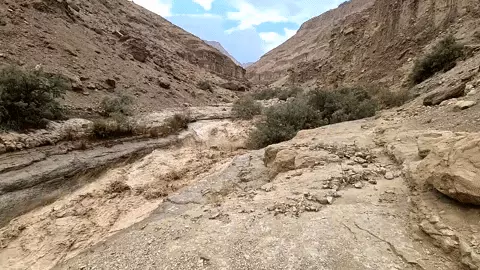 שיטפונות במדבר יהודה שיטפונות במדבר יהודה