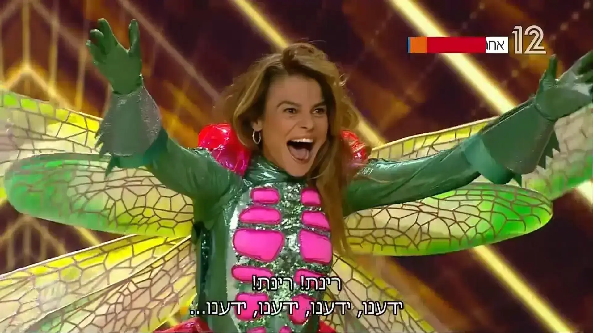 הזמר במסכה רינת גבאי השפירית הזמר במסכה רינת גבאי השפירית