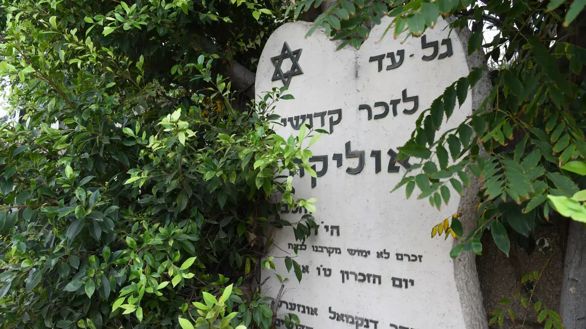 אנדרטאות קהילות השואה, בית העלמין בחולון 14 בדצמבר 2020 אנדרטאות קהילות השואה, בית העלמין בחולון 14 בדצמבר 2020