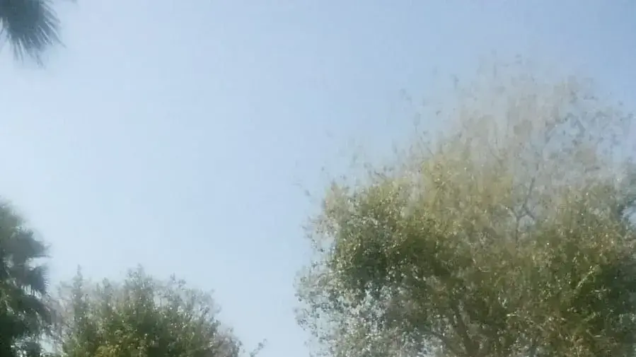 אילן קריאף ורעייתו אילן קריאף ורעייתו