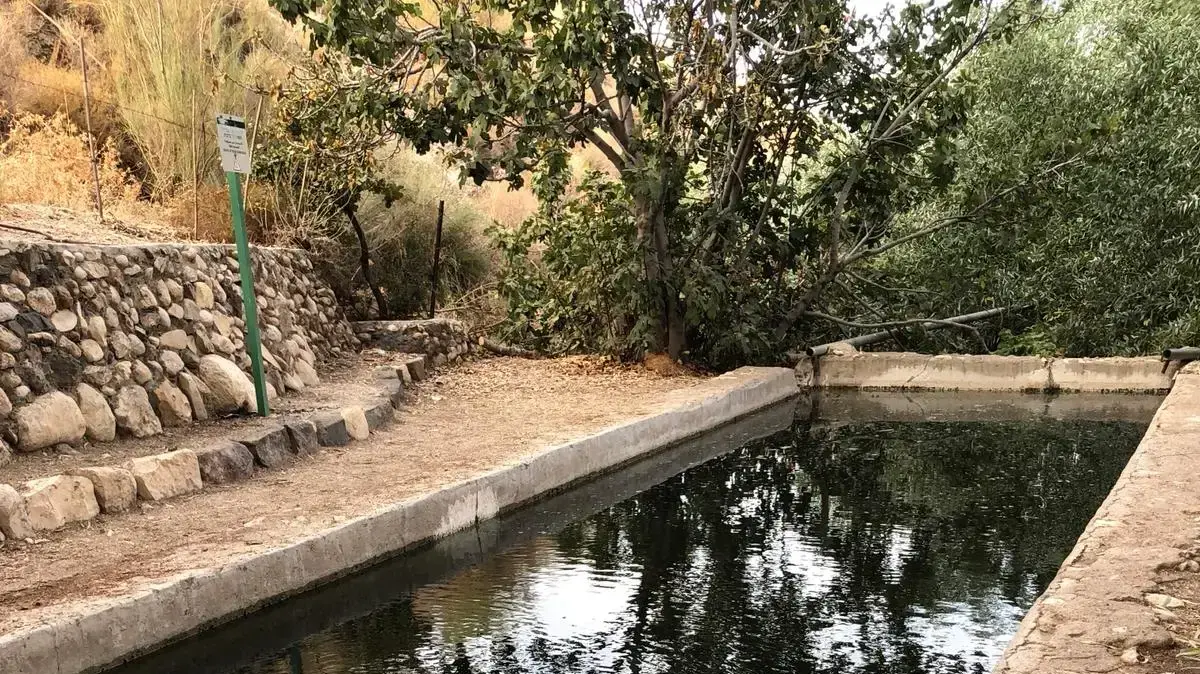 בריכת עין שוירח בריכת עין שוירח