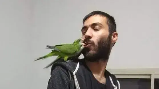 אחד מהנרצחים באירוע הירי ליד באקה אל-גרביה. אחמד ומוחמד שרקיה. 18 בדצמבר 2020 אחד מהנרצחים באירוע הירי ליד באקה אל-גרביה. אחמד ומוחמד שרקיה. 18 בדצמבר 2020