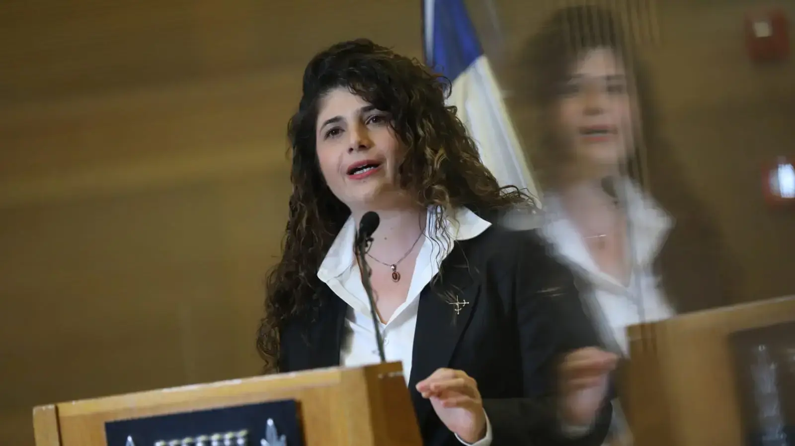 הצהרה | סגנית יו"ר הכנסת ח"כ שרן השכל. כנסת, ירושלים 23 בדצמבר 2020 הצהרה | סגנית יו"ר הכנסת ח"כ שרן השכל. כנסת, ירושלים 23 בדצמבר 2020