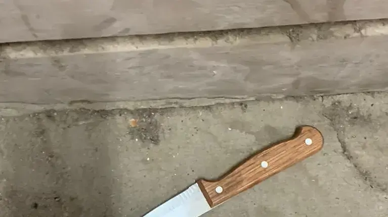 סכין איתה בוצע ניסיון לפיגוע דקירה במערת המכפלה שבחברון. 13 בינואר 2021