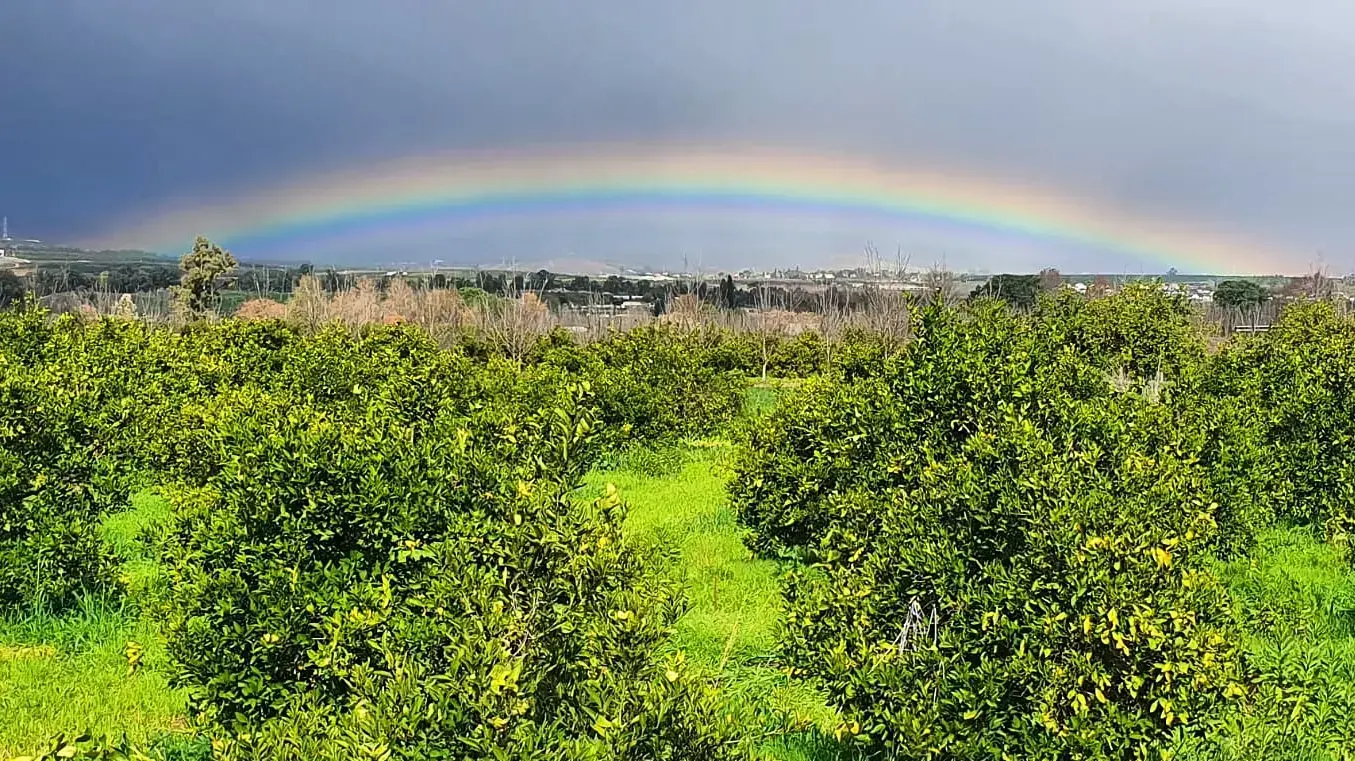 קשת בענן ליד איילת השחר, קיבוץ בעמק החולה ליד חצור הגלילית, השייך למועצה אזורית הגליל העליון. 20 בינואר 2021 קשת בענן ליד איילת השחר, קיבוץ בעמק החולה ליד חצור הגלילית, השייך למועצה אזורית הגליל העליון. 20 בינואר 2021