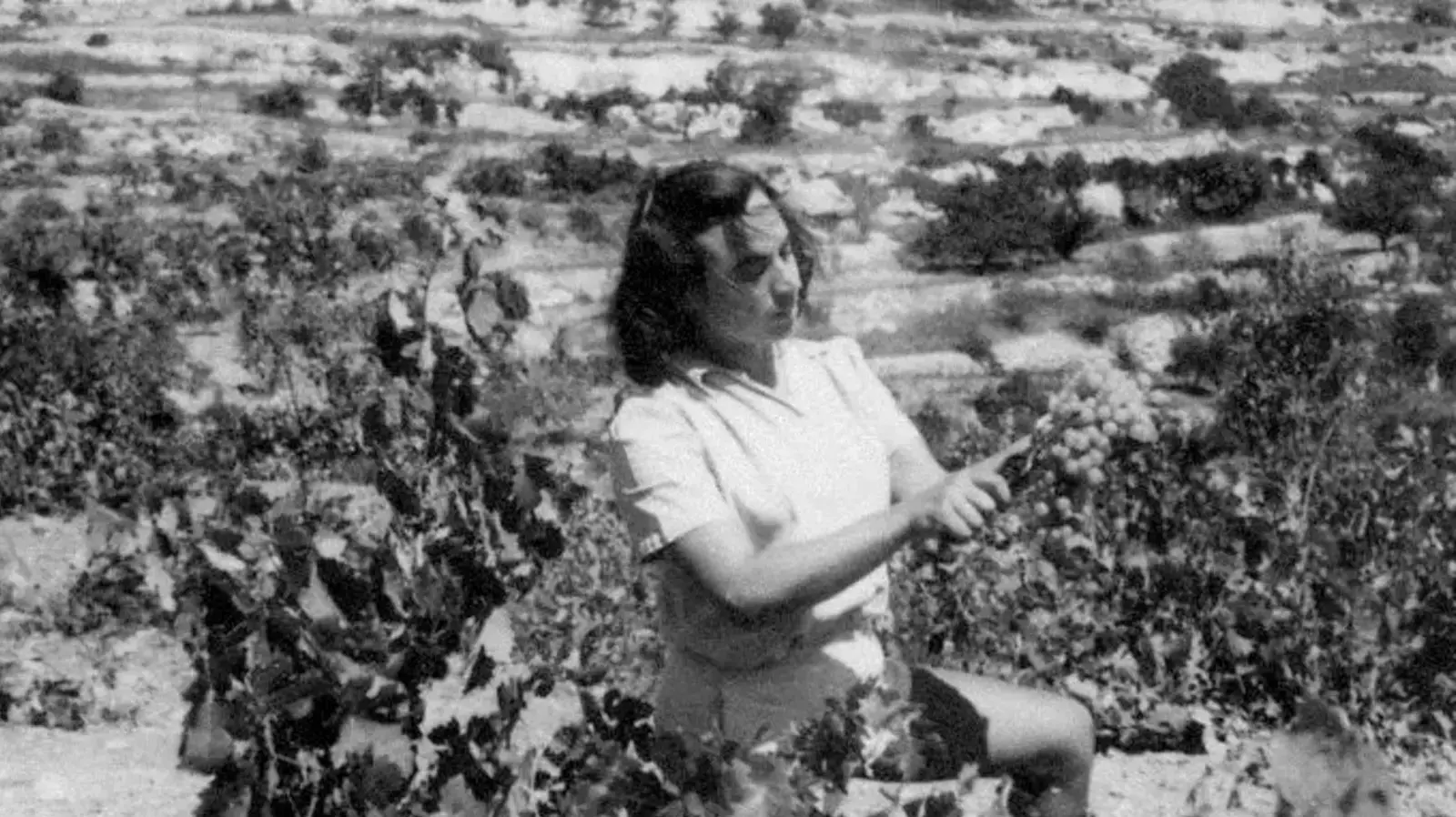 ציפורה ישראלי ציפורה ישראלי