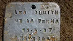 התגית של דדי זק התגית של דדי זק