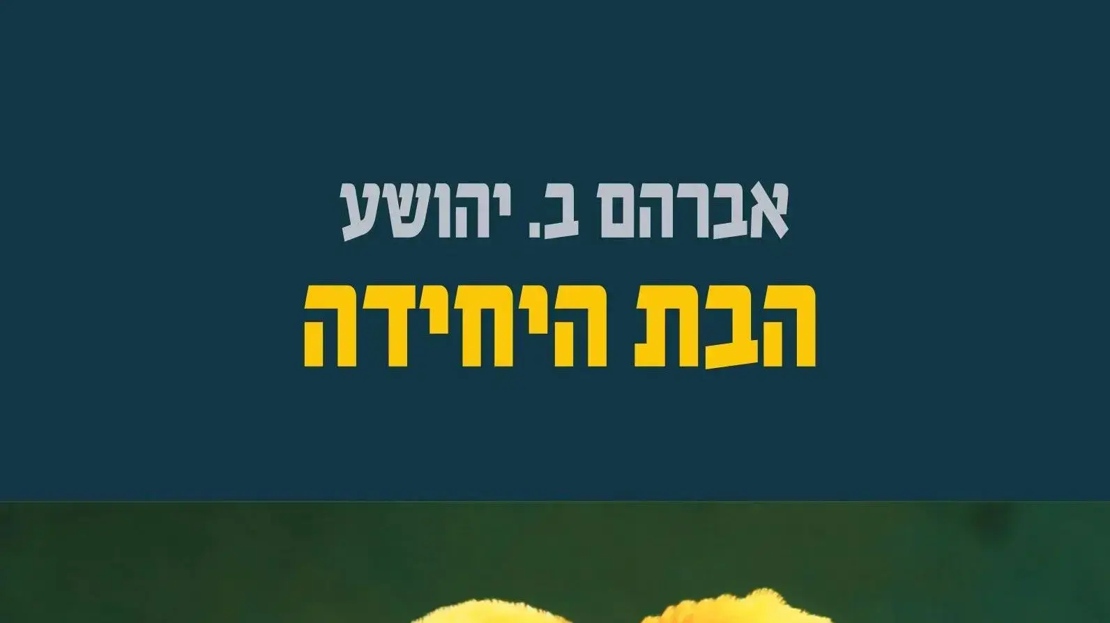 כריכת הספר "הבת היחידה" מאת א. ב. יהושע