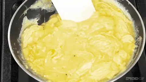 ביצים ביצים