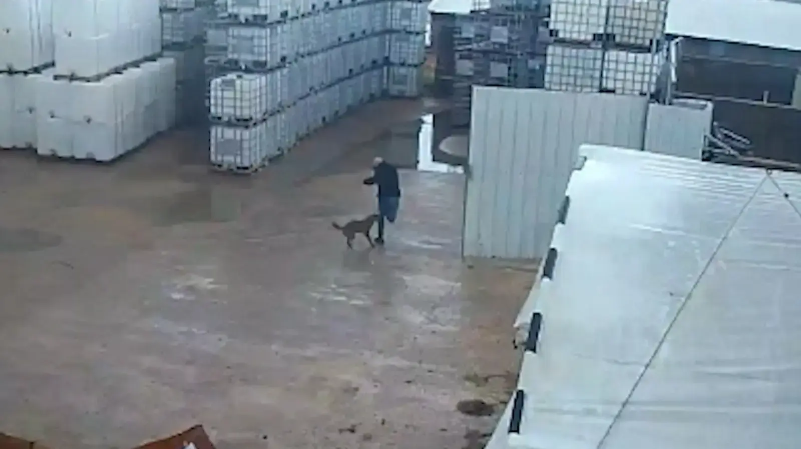 תן תוקף אדם בכניסה למפעל במושב שבי ציון