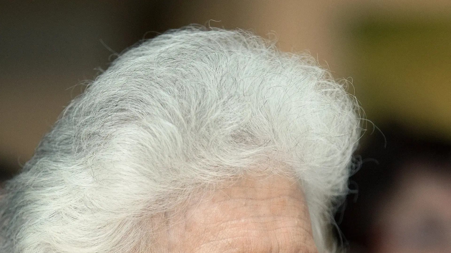 רות דיין, 2012 רות דיין, 2012