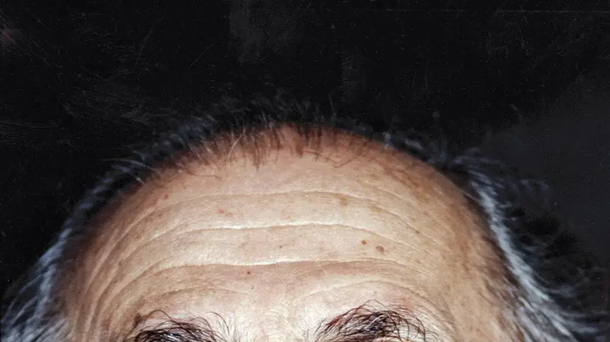 שלמה הלל, 1994 שלמה הלל, 1994