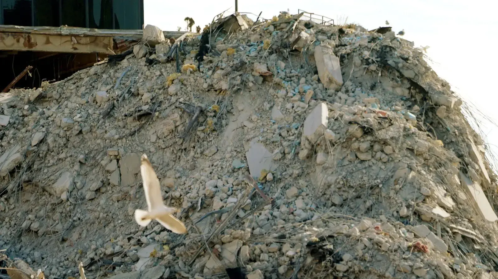הרס מלון פלאזה של טראמפ בעיר אטלנטיק סיטי, 17 בפברואר 2021 הרס מלון פלאזה של טראמפ בעיר אטלנטיק סיטי, 17 בפברואר 2021
