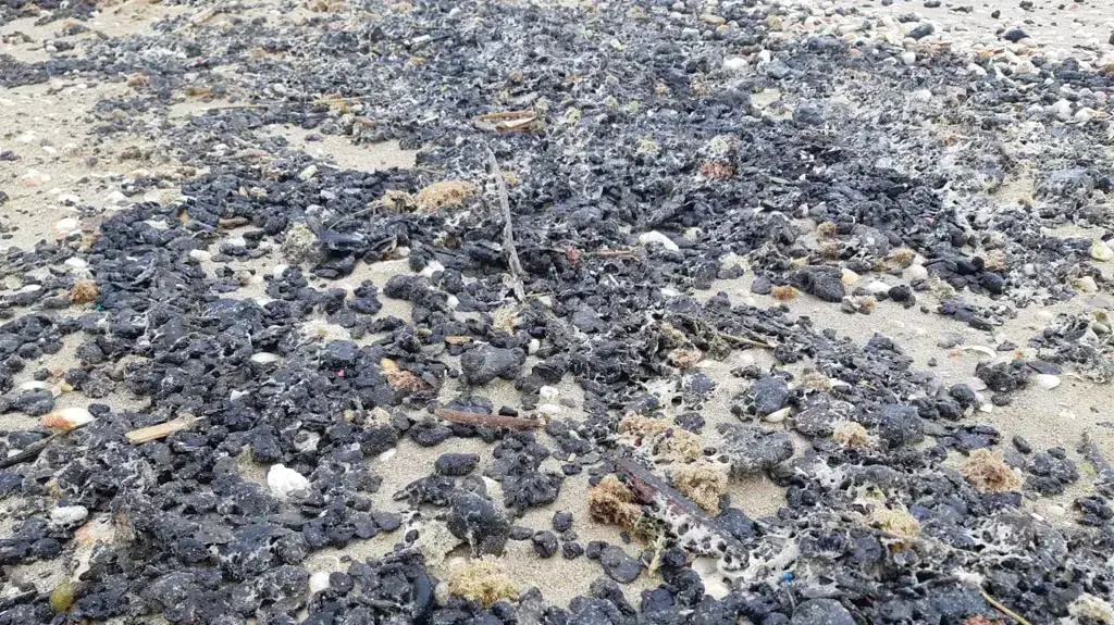 גושי זפת שהתגלו ברצועות חוף הים התיכון , מעגן מיכאל והבונים גושי זפת שהתגלו ברצועות חוף הים התיכון , מעגן מיכאל והבונים
