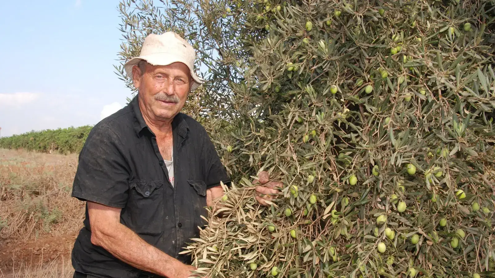 יחזקאל דרורי יחזקאל דרורי