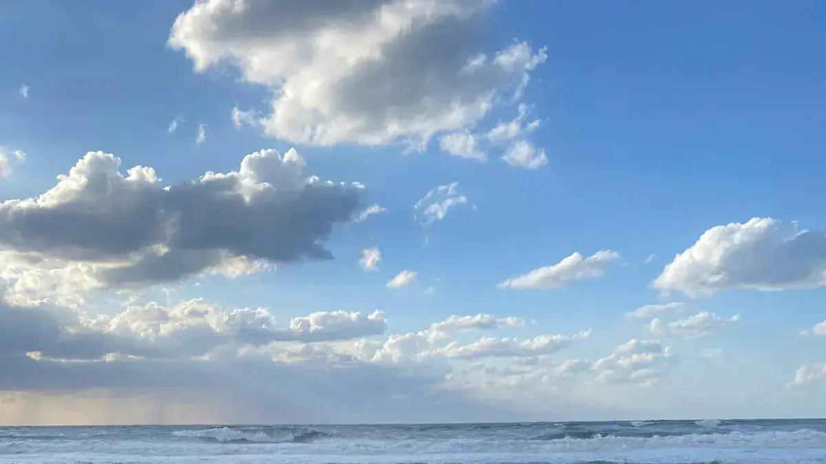 לוויתן מצוי נפלט בדרום שמורת ניצנים לוויתן מצוי נפלט בדרום שמורת ניצנים