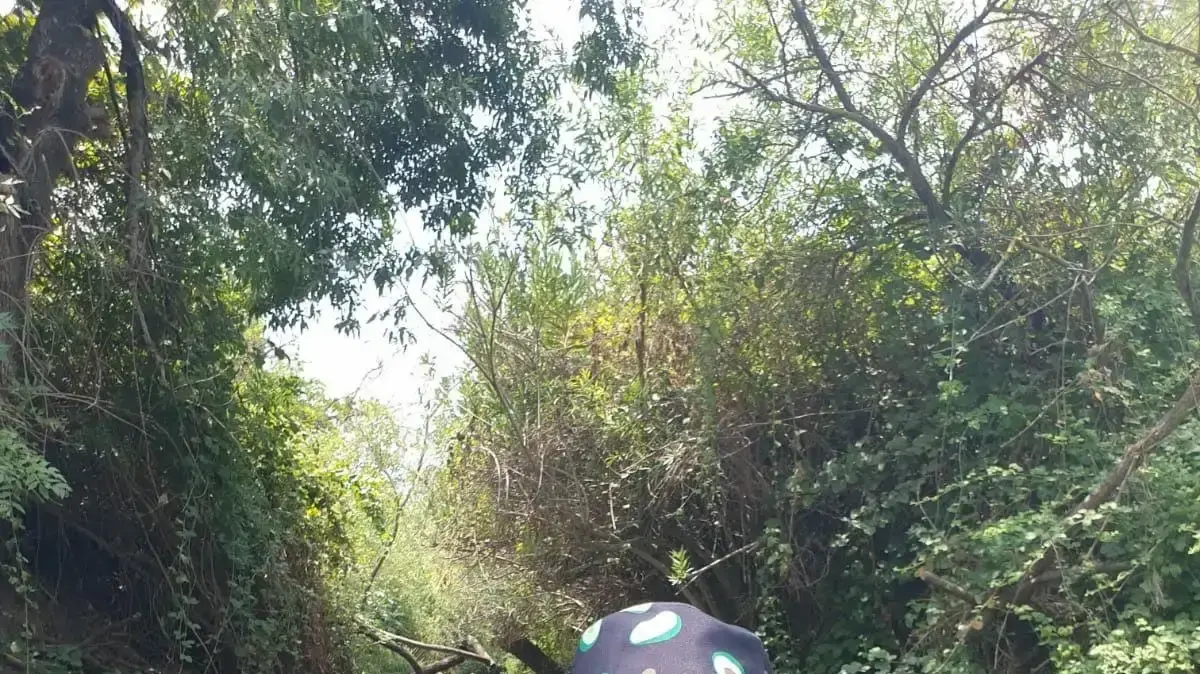 גל שוורץ תלמידת כיתה ז בבי"ס פארק המדע בנס ציונה גל שוורץ תלמידת כיתה ז בבי"ס פארק המדע בנס ציונה
