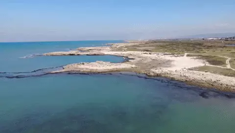 גיף זיהום זפת בגן לאומי תל דור גיף זיהום זפת בגן לאומי תל דור