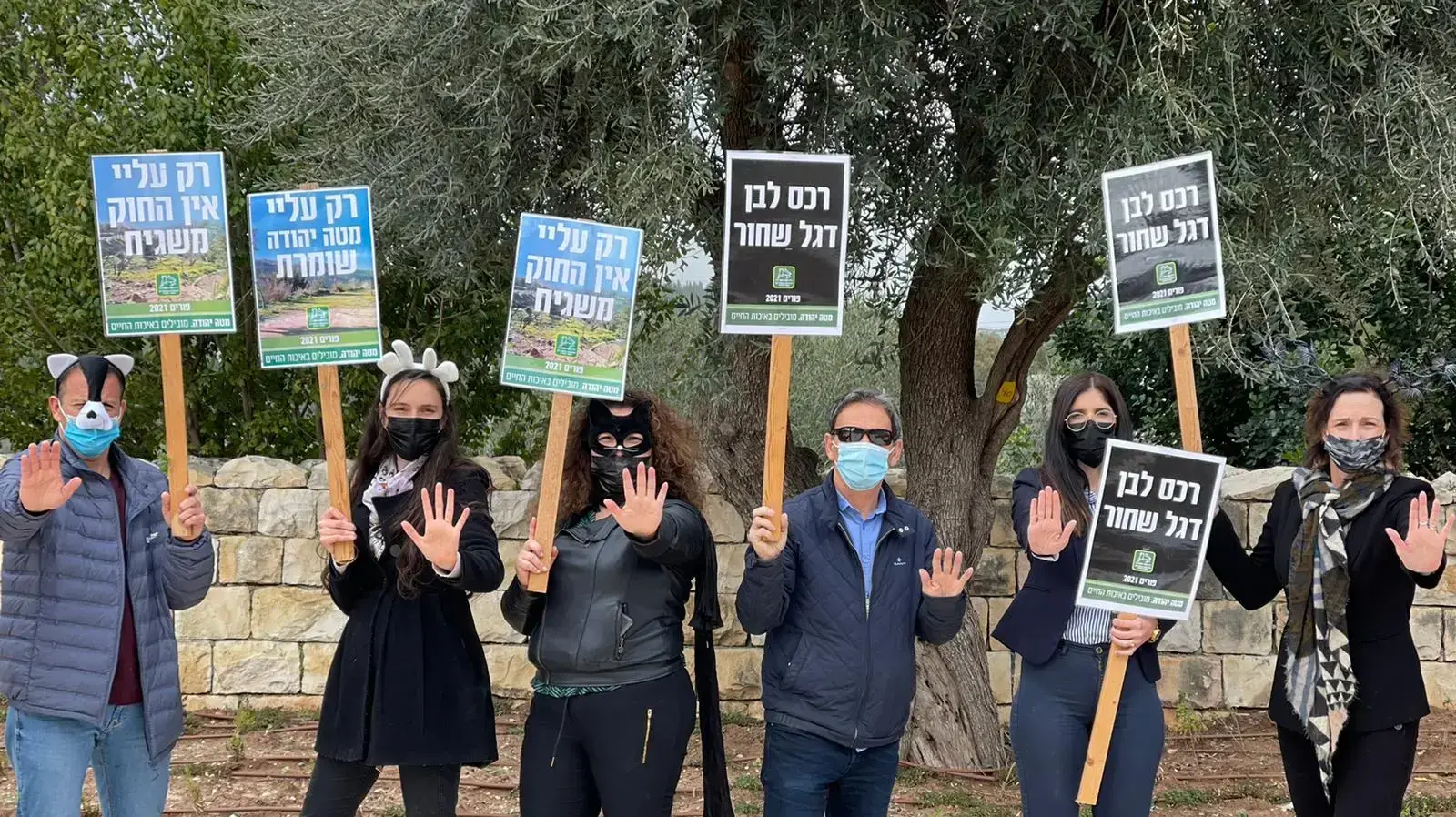 רכס לבן רכס לבן