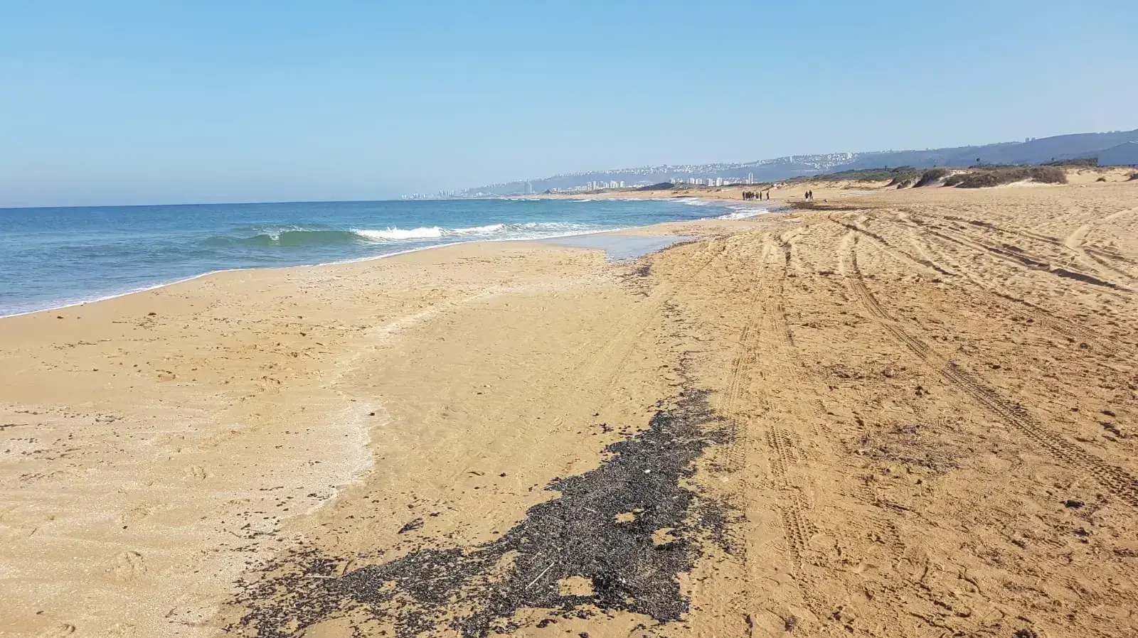 זפת בשמורת טבע חוף גלים, עתלית, 25 בפברואר 2021