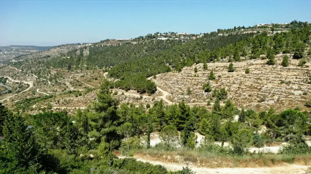 רכס לבן רכס לבן
