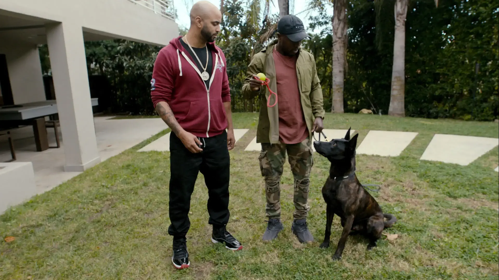 הסדרה "פה קבור הכלב", Canine Intervention הסדרה "פה קבור הכלב", Canine Intervention