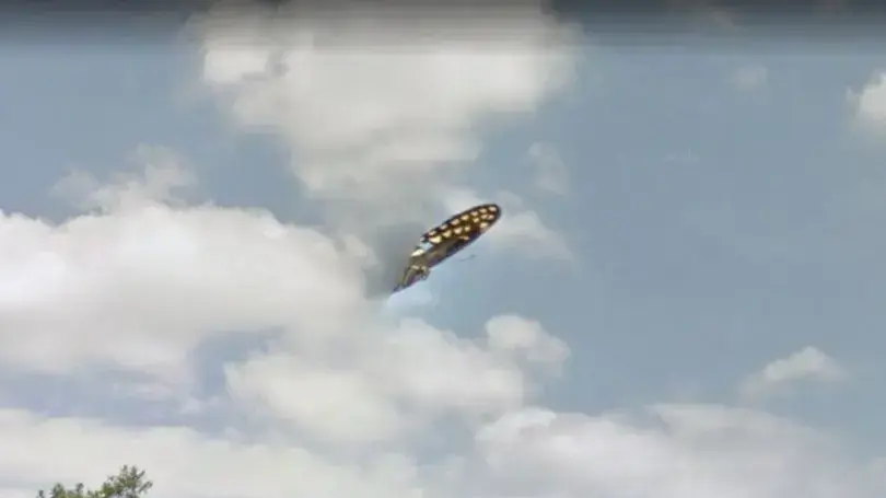 חללית שהתגלתה בתמונת רחוב בפלורידה