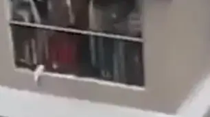 פעוטה נפלה מקומה 12 וניצלה בידי שליח שחלף באזור פעוטה נפלה מקומה 12 וניצלה בידי שליח שחלף באזור