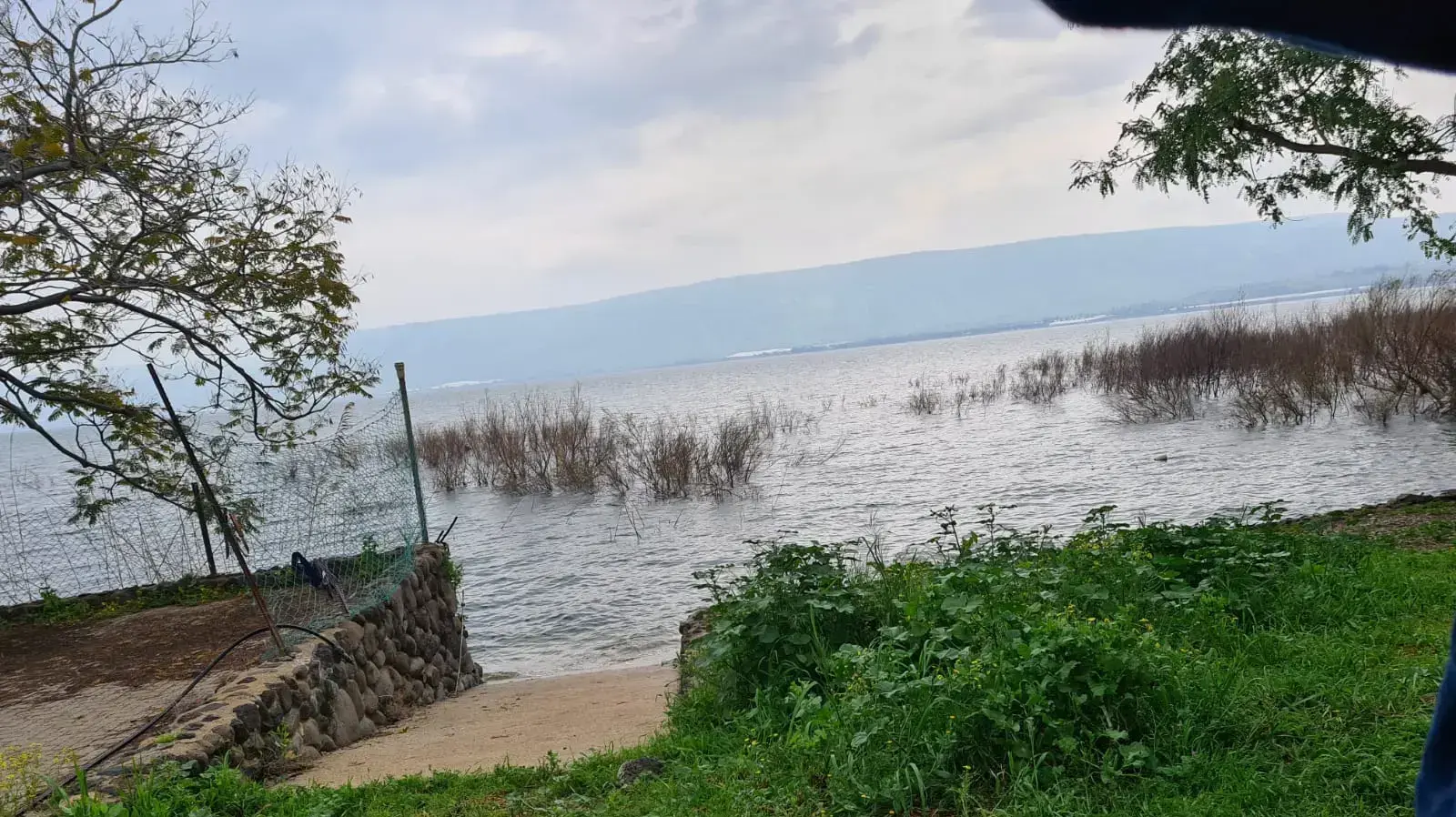 השטח בין אחת החלקות החקלאיות לבין הכנרת השטח בין אחת החלקות החקלאיות לבין הכנרת