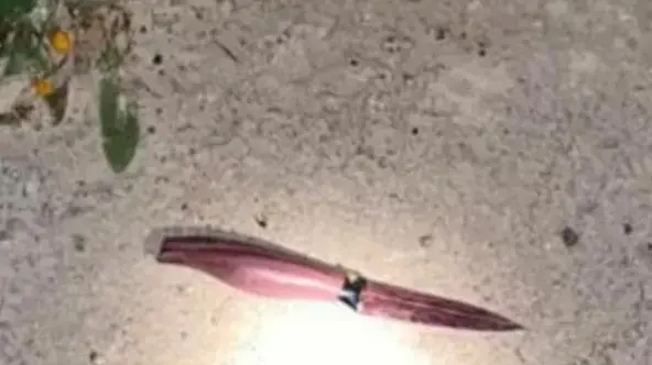 הסכין ששימשה חשוד בניסיון פיגוע דקירה בבקעת הירדן 8 במרץ 2021 הסכין ששימשה חשוד בניסיון פיגוע דקירה בבקעת הירדן 8 במרץ 2021