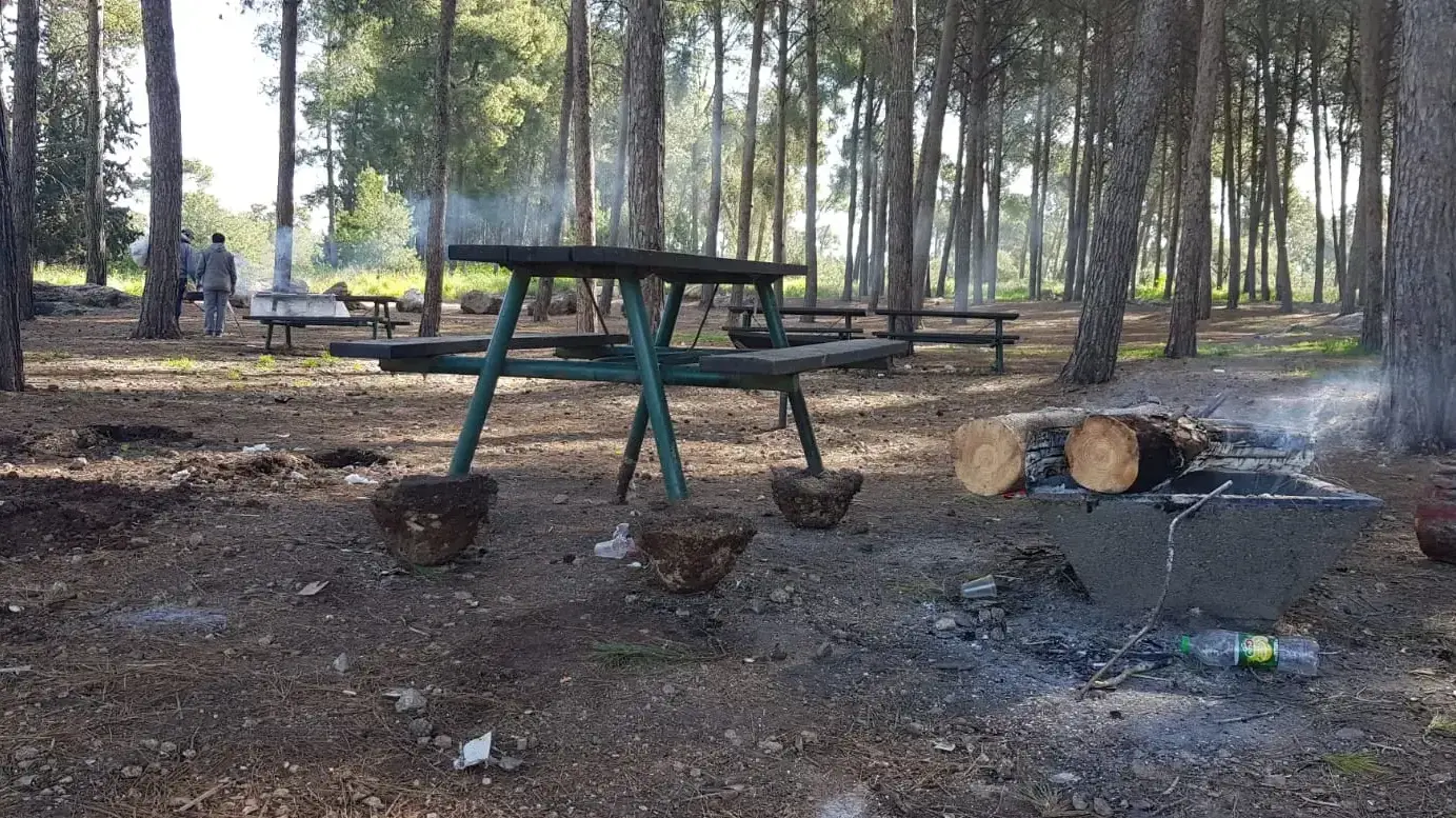 שולחן למבקרים נעקר ממקומו בחניון נופש פעיל הנמצא ביערות בן שמן. 13 במרץ 2021 שולחן למבקרים נעקר ממקומו בחניון נופש פעיל הנמצא ביערות בן שמן. 13 במרץ 2021