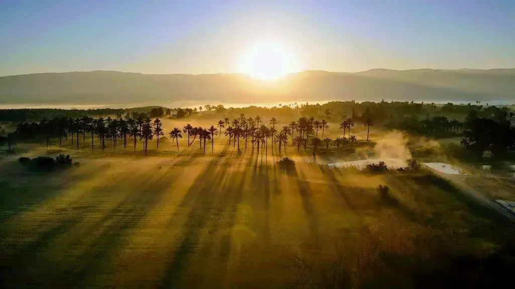 השטחים החקלאיים של טירת צבי בעמק בית שאן השטחים החקלאיים של טירת צבי בעמק בית שאן