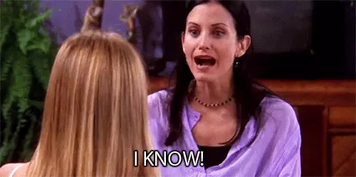 מוניקה גלר חברים מוניקה גלר חברים