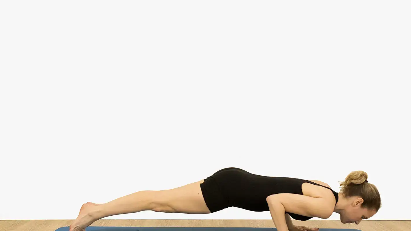 קארין לזרוביץ' זנזורי מדגימה Push up