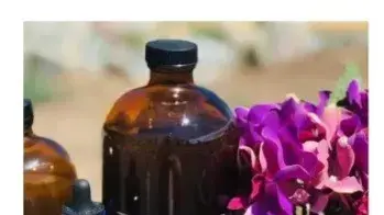 מנהיגת הכת איימי קרלסון מפרסמת "תרופה לקורונה" - מי כסף מנהיגת הכת איימי קרלסון מפרסמת "תרופה לקורונה" - מי כסף