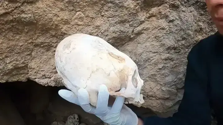 גולגלות מוזרות שנמצאו בפרו