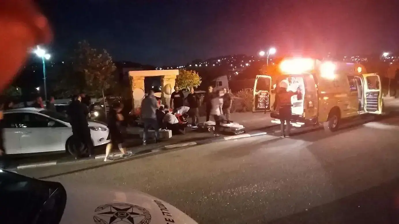 זירת התמוטטות הפסל על כרים ריאדה בן ה-15, בפארק אגם מונפורט במעלות, 24 במאי 2021 זירת התמוטטות הפסל על כרים ריאדה בן ה-15, בפארק אגם מונפורט במעלות, 24 במאי 2021