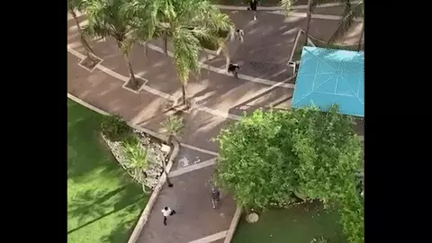 גבר עירום תקף באלימות את רעייתו של קובי אשרת בחצר ביתם 
