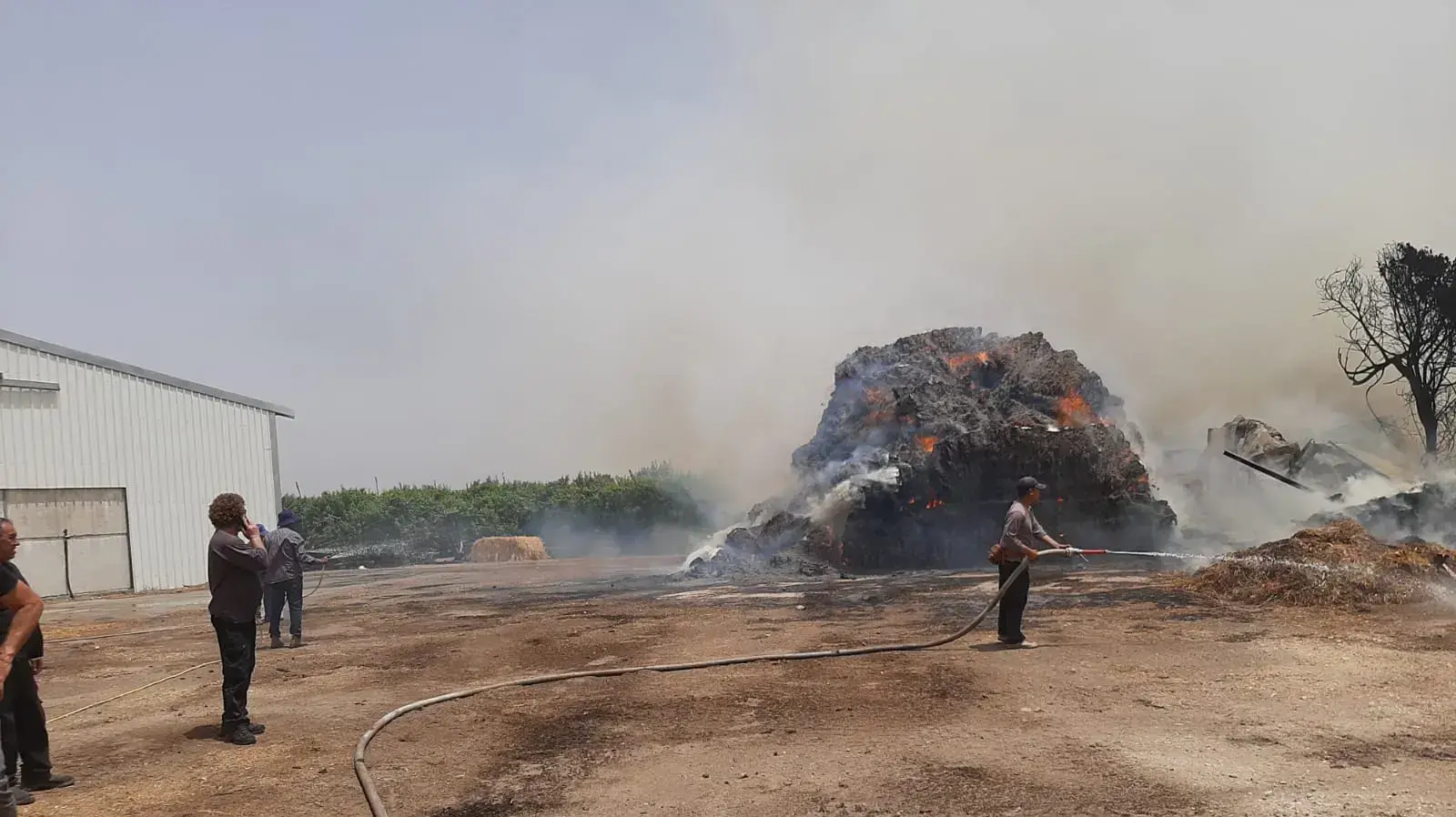 לוחמי אש פועלים לכיבוי השריפה שפרצה במושב ערוגות ליד קריית מלאכי. 31 במאי 2021 לוחמי אש פועלים לכיבוי השריפה שפרצה במושב ערוגות ליד קריית מלאכי. 31 במאי 2021