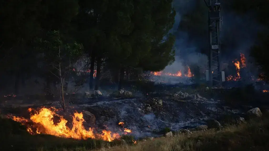 כוחות כיבוי פועלים בשריפת גדולה ביער רמות בירושלים 31 במאי 2021
כוחות כיבוי פועלים בשריפת גדולה ביער רמות בירושלים 31 במאי 2021