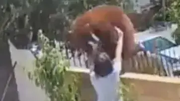 אישה מגרשת דוב מחצר גינתה