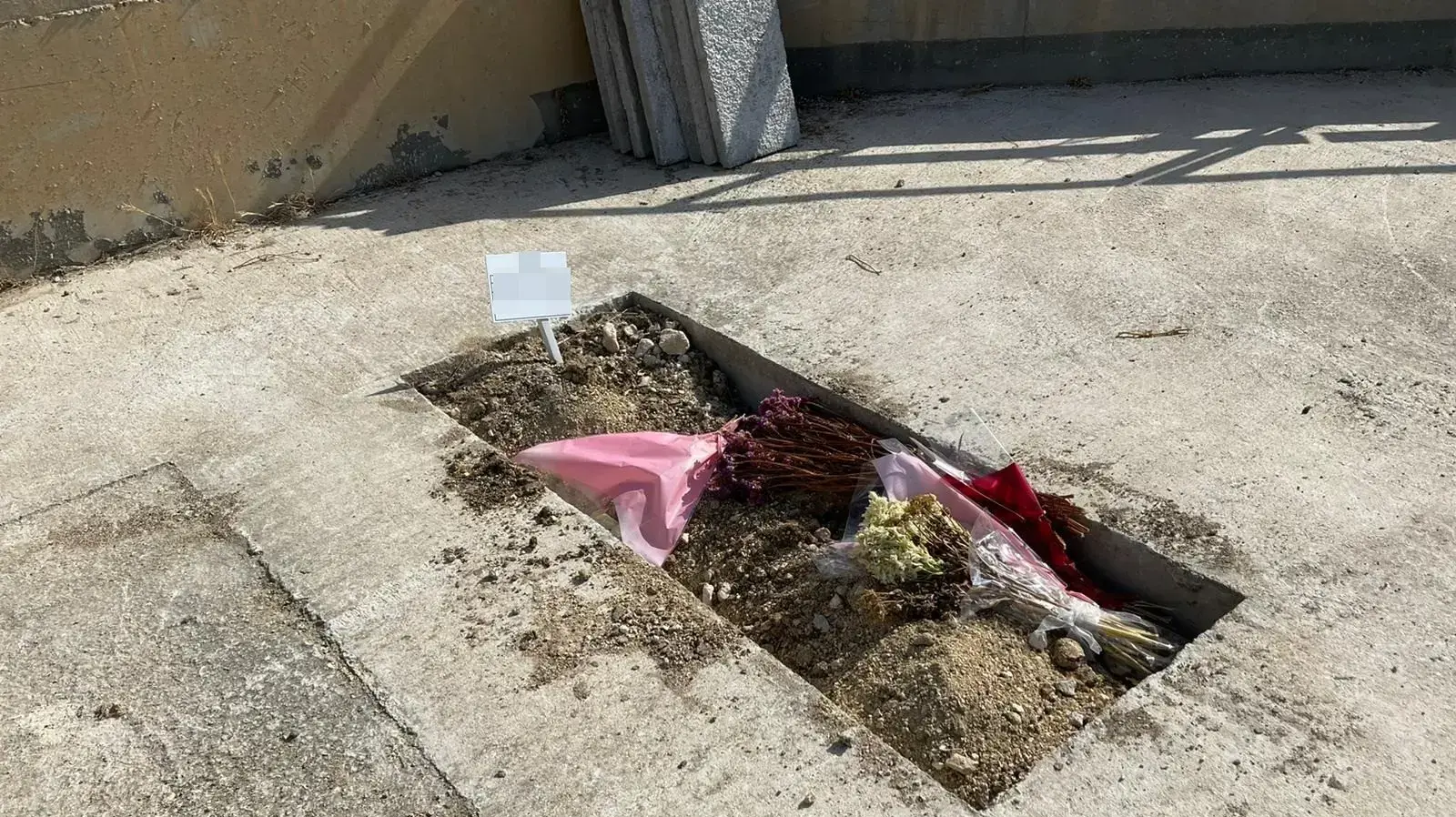 קברו של קצין המודיעין שמת בכלא