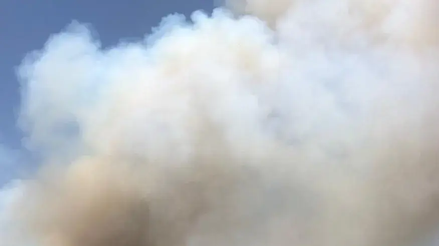 שני מוקדי בערה בשריפה שפרצה בירושלים, 9 ביוני 2021 שני מוקדי בערה בשריפה שפרצה בירושלים, 9 ביוני 2021