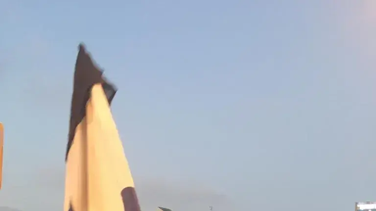מיכל יאיר דולב, פעילת מחאה
מיכל יאיר דולב, פעילת מחאה