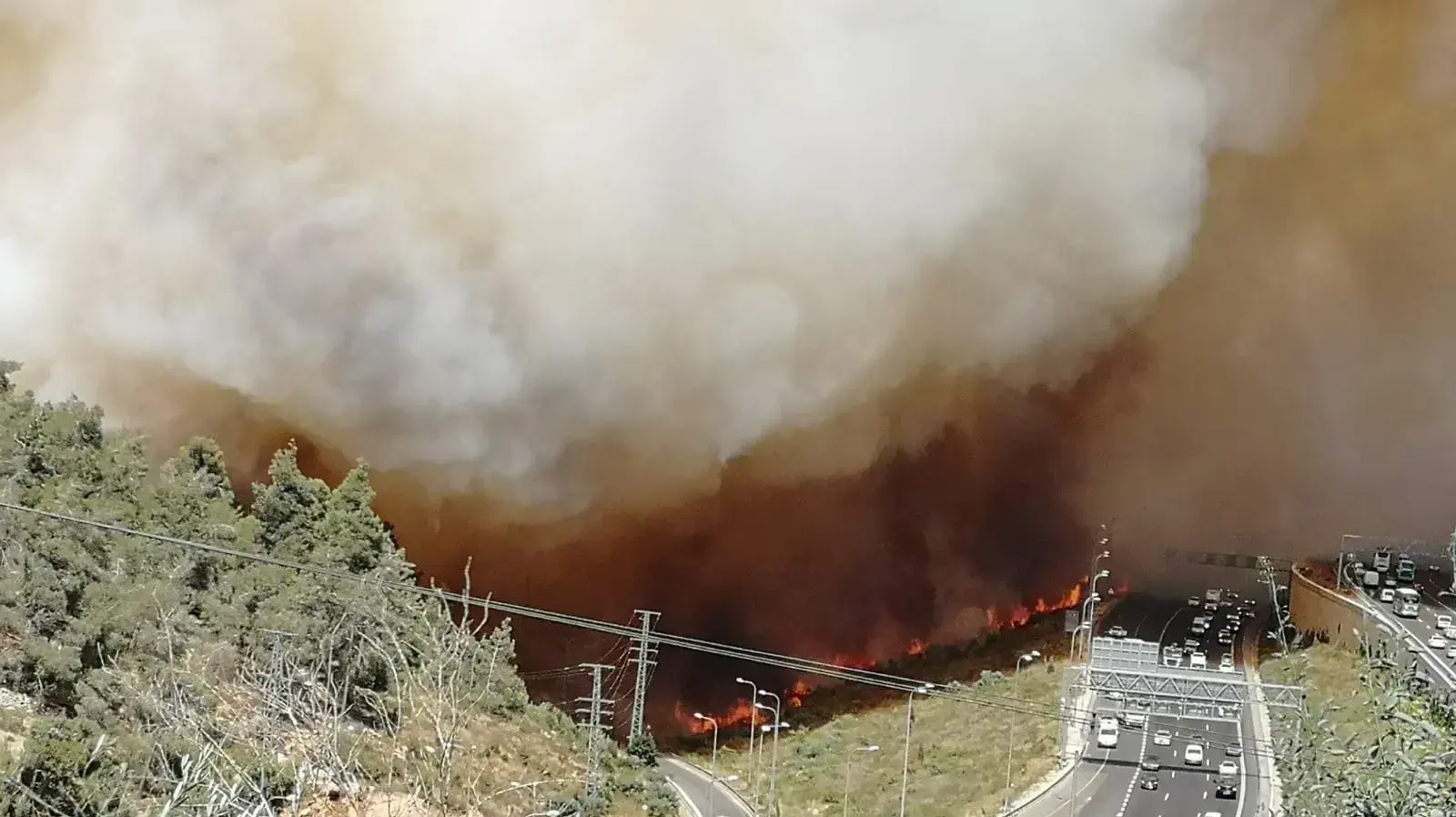 השריפה שפרצה בשטח פתוח סמוך לרחוב נוף הרים במבשרת ציון. 13 ביוני 2021