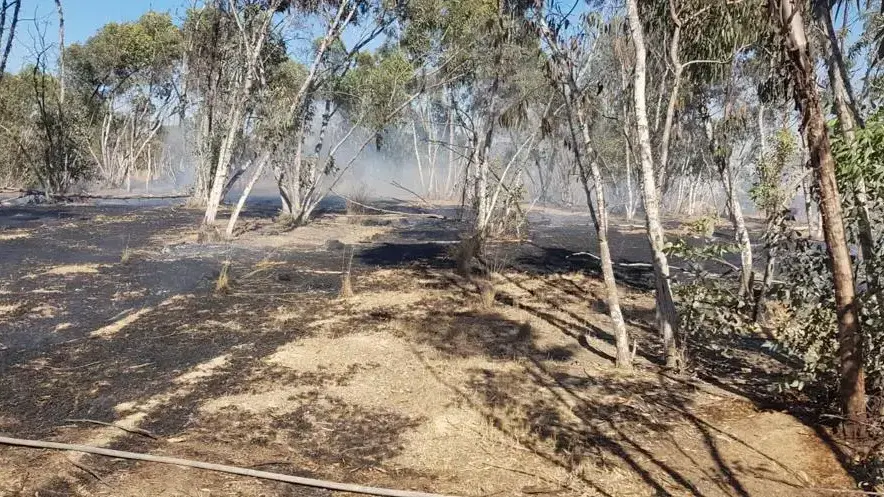 שריפה ביער בארי אנזק
17.06.21 שריפה ביער בארי אנזק
17.06.21