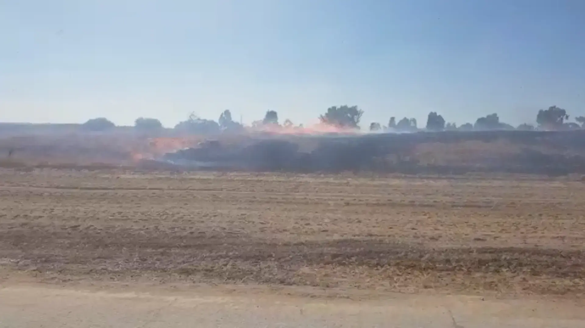 השריפות ביער בארי שנגרמו כתוצאה מבלוני תבערה. 17 ביוני 2021 השריפות ביער בארי שנגרמו כתוצאה מבלוני תבערה. 17 ביוני 2021