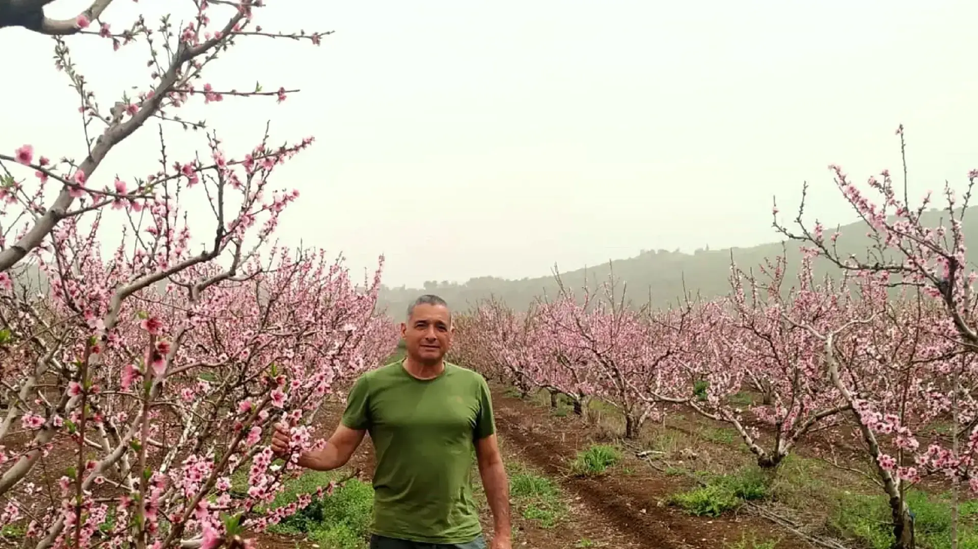 ירון בלחסן- תושב רמות נפתלי- מנכ"ל ארגון מגדלי הפירות בישראל ירון בלחסן- תושב רמות נפתלי- מנכ"ל ארגון מגדלי הפירות בישראל